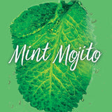 Garnier Invisible Dry Shampoo with no Visible Residue . Refresh and Volumize, Silicone Free, Mint Mojito by Fructis, 4.4 oz (3 Pack)