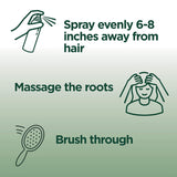 Garnier Invisible Dry Shampoo with no Visible Residue . Refresh and Volumize, Silicone Free, Mint Mojito by Fructis, 4.4 oz (3 Pack)