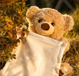 GUND Peek-A-Boo Teddy Bear Plush Animated Stuffed Animal for Babies and Newborns, Musical Singing Talking Toy, 11.5’’