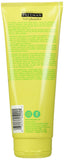 Freeman Oil Absorbing Mint & Lemon Clay Mask, Facial Mask, Skincare, 6 fl oz