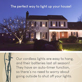 Lighticicle Battery-Operated Outdoor Lights, 80 LED Fairy Lights with Meteor Function and Automatic Timer (1 Strand)