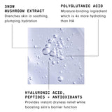 Versed Moisture Maker Hydrating Hyaluronic Serum - Lightweight Face Serum for Dry Skin With Moisturizing Polyglutamic Acid + Snow Mushroom Extract for Soothing + Plumping Hydration Day & Night (1oz)