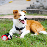 DOGNESS Reflective Retractable Dog Leash, One Button Brake & Lock Anti-Slip Hand,  UpTo 120 lbs, Length 19.6 ft, XL