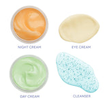 Earth to Skin Super Fruits Starter Kit - Blueberry Exfoliating Cleanser, Citrus Day Cream, Avocado Overnight Mask & Banana Eye Cream