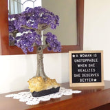 Double Sided Black and Gray Felt Letter Board 10"x10", 680 Letters, Oak Wood Frame & Stand, Includes Scissors & 2 Storage Bags
